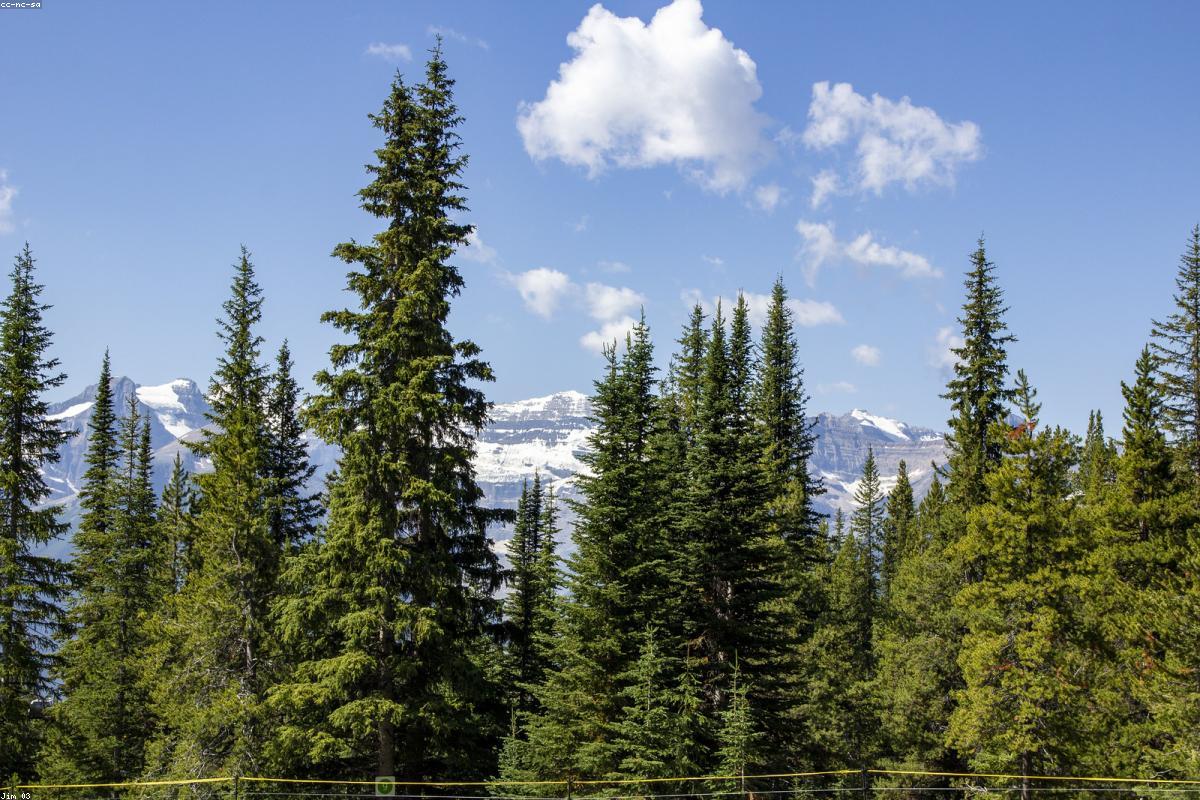 Banff
