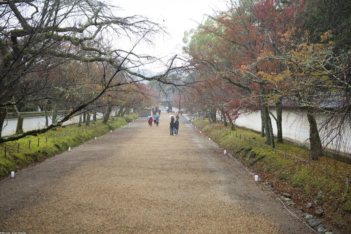 Kyoto
